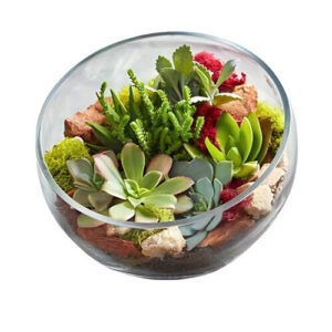 a glass bowl with succulents and rocks